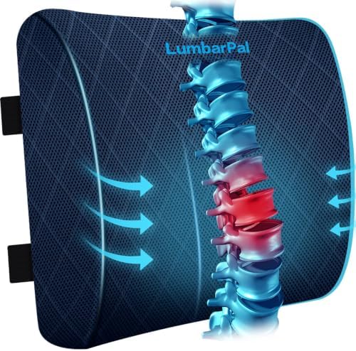 Lumbar Support Pillow for Office Chair, Back Support, Memory Foam by LumbarPal