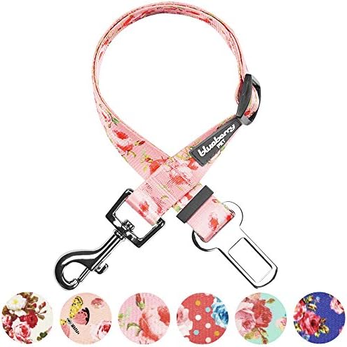 Blueberry Pet 8 Patterns Spring Scent Inspired Floral Rose Baby Pink Adjustable - Image 5