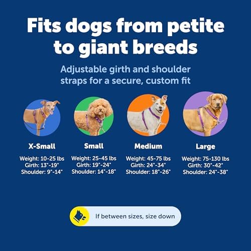 PetSafe 3 in 1 Dog Harness - Image 5