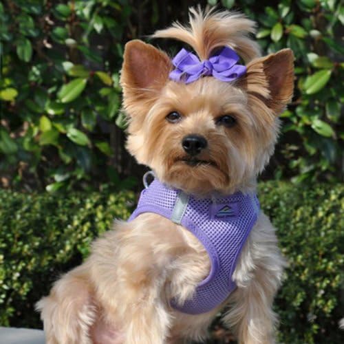 Doggie Design Dog Harness - Image 3
