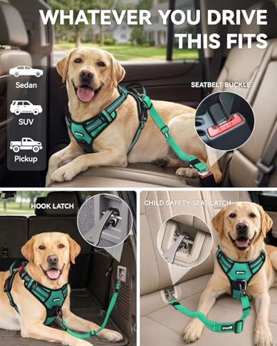 Joytale 3-in-1 Bungee Dog Seat Belt - Image 2