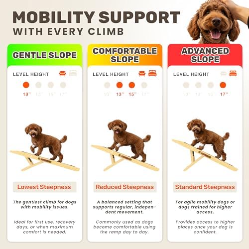 Foldable Dog Ramp for Couch - Image 3