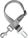 Blueberry Pet Dog Leash Puppy Essentials Seat Belt Tether by BlueberryPet