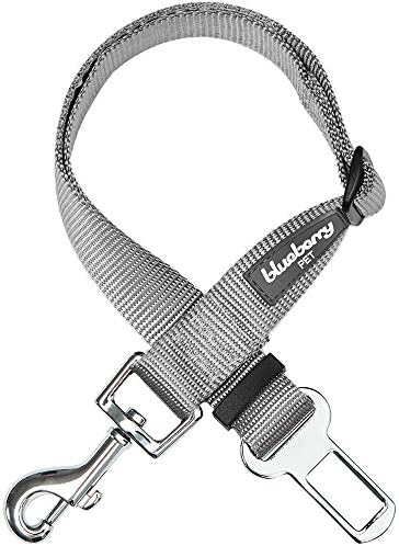 Blueberry Pet Dog Leash Puppy Essentials Seat Belt Tether by BlueberryPet