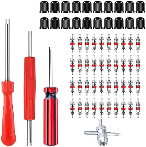 Riseuvo 64Pcs Tire Valve Stem Removal Tool Kit by Riseuvo