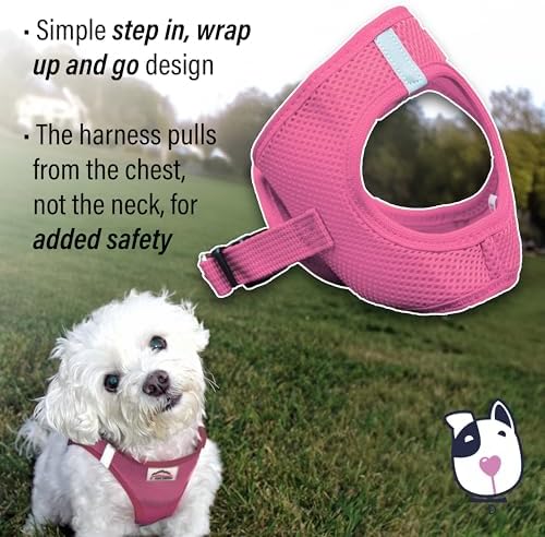 Doggie Design Dog Harness - Image 4