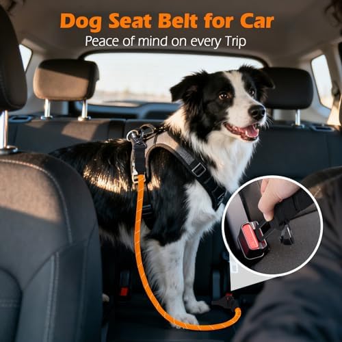 PetBonus Dog Seat Belt for Car, Durable Rope Dog Car Harness for Vehicle - Image 3