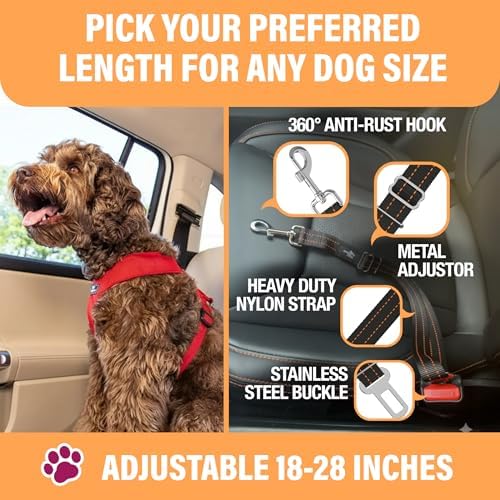 Active Pets Orange Car Seat Belt - Image 3
