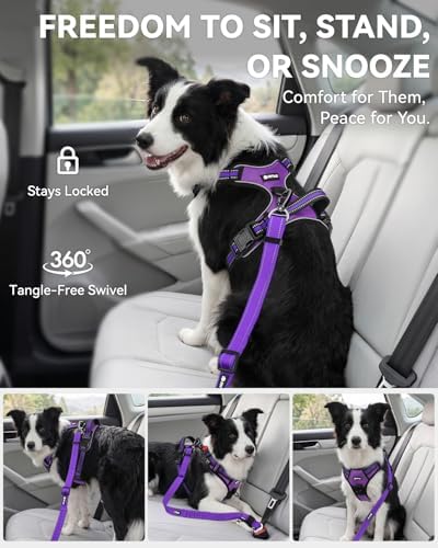 Joytale 3-in-1 Bungee Dog Seat Belt - Image 5