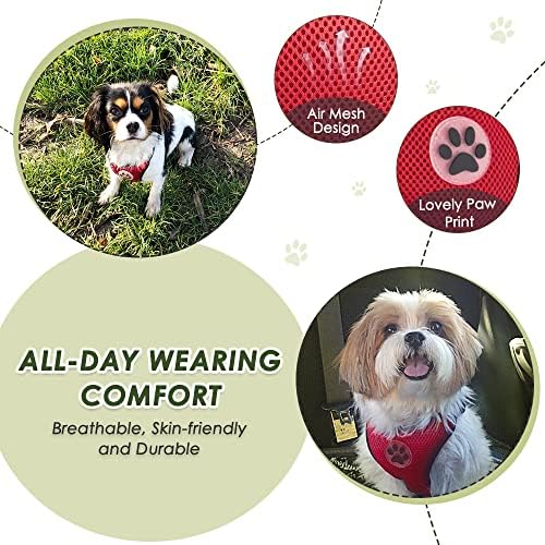 SlowTon Dog Seat Belt with Harness - Image 2