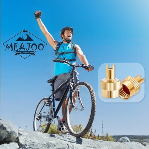 10PCS Tire Valve Stem Caps, Nickel Brass Slotted Slot Valve Stem Caps - Image 5