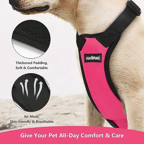 VavoPaw Dog Seat Belt Vest Harness - Image 3