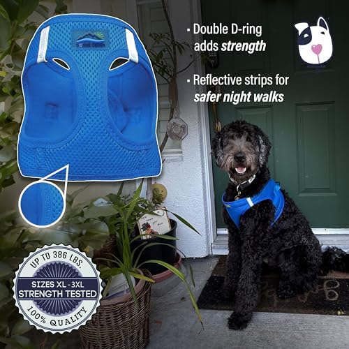 Doggie Design Dog Harness - Image 4