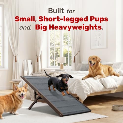Foldable Dog Ramp for Couch - Image 2