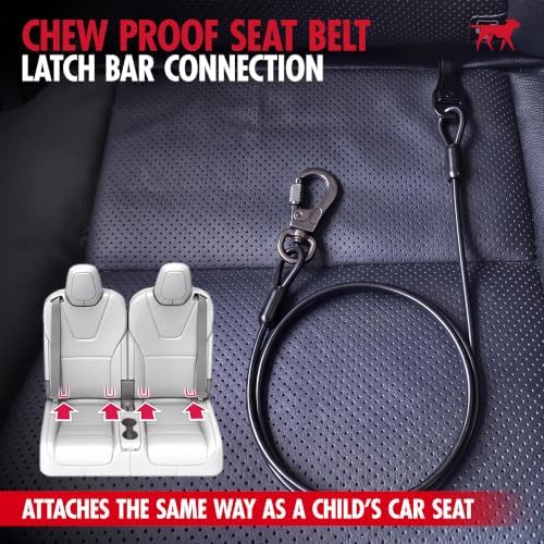Tuff Pupper Chew-Proof Steel Dog Seat Belt - Image 4