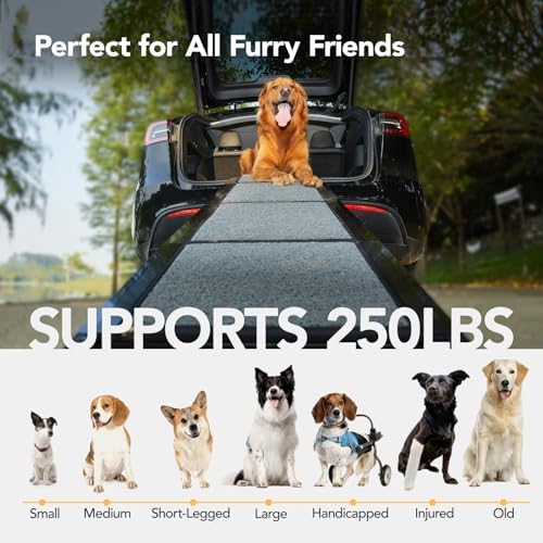 PetThem Dog Ramp for Cars, Extra-Long Foldable - Image 6