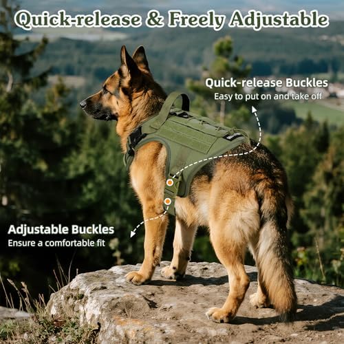 VavoPaw Heavy Duty Tactical Dog Harness - Image 4