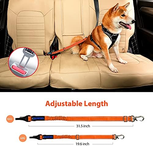 IOKHEIRA Orange Dog Seatbelt - Image 6