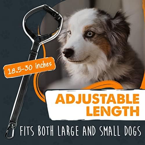 Mighty Paw Dog Seat Belt for Car Headrest, for Small, Medium & Large Dogs - Image 2
