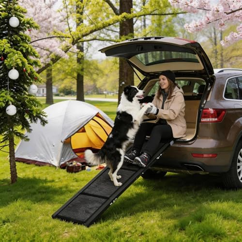 Garvee 63" Wide Folding Dog Ramp by Garvee
