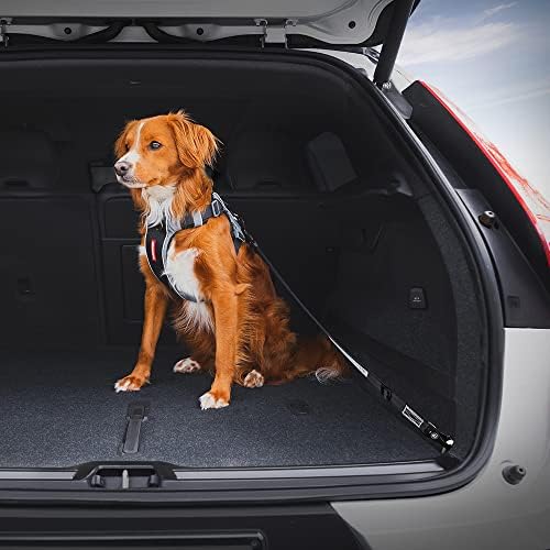 EzyDog Click ISOFIX Cargo - Image 4
