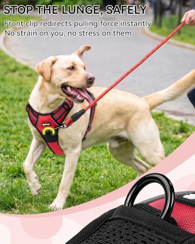 Joytale No Pull Dog Harness & Seat Belt, Easy On 3-Buckle - Image 4