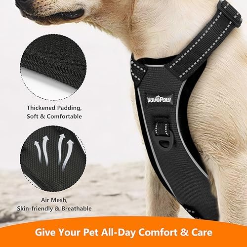 VavoPaw Dog Seat Belt Vest Harness - Image 3