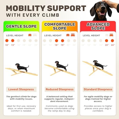 Foldable Dog Ramp for Couch - Image 3