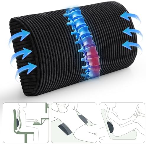 HIGOGOGO Lumbar Support Pillow for Recliner Chair/Accent Chair/Couch, Memory - Image 2