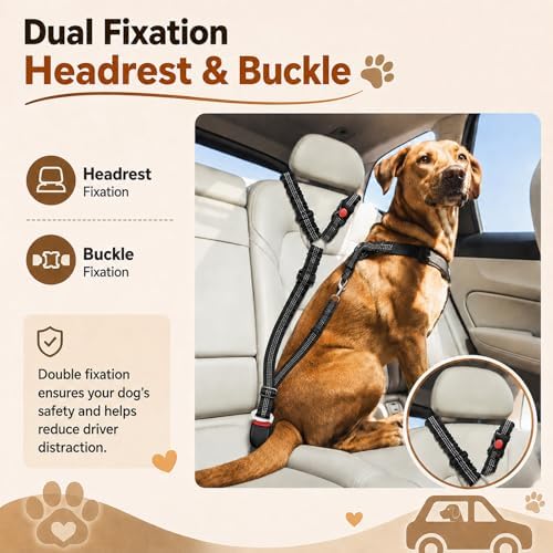 2-in-1 Dog Seat Belt for Car - Image 4
