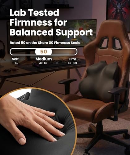 Everlasting Comfort Lumbar Support Pillow - Image 6