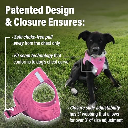 Doggie Design Dog Harness - Image 2